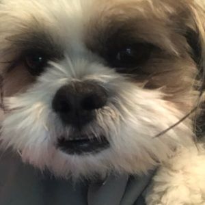 Meet your Posher, Lori